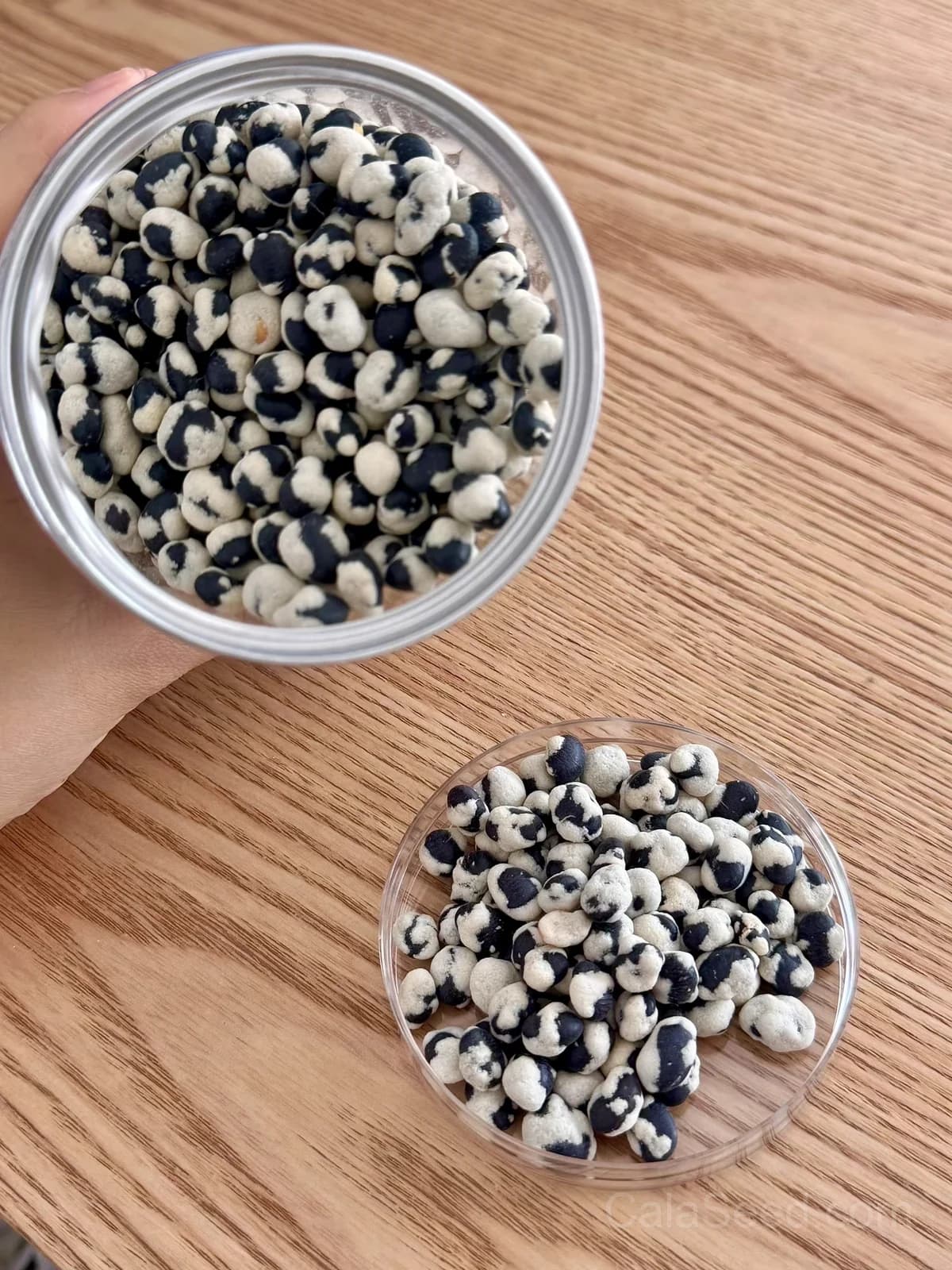 Phenomenal Cowpea Seeds — Southern Garden Staple - View 4