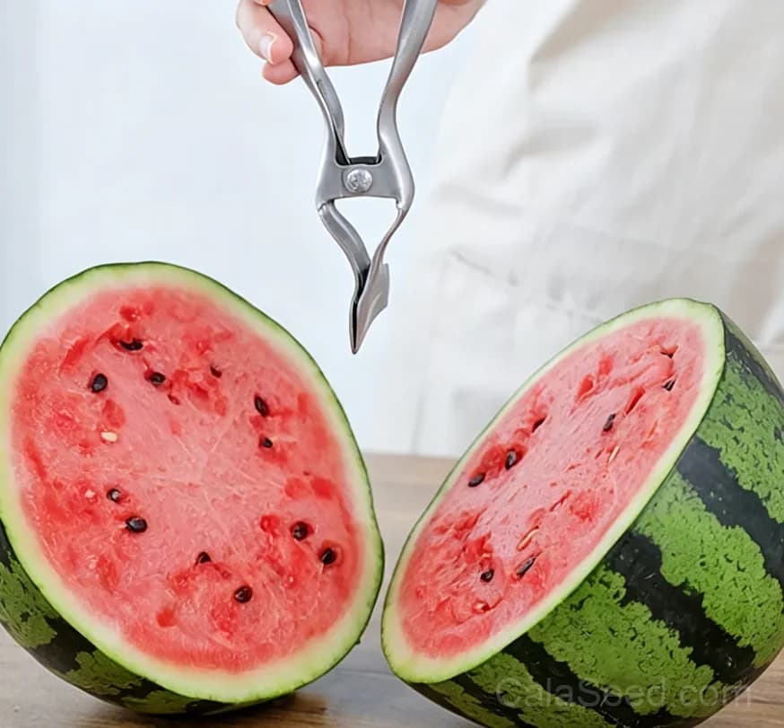 Watermelon Opener Tool – Stainless Steel Fruit Cutter for Easy Watermelon Slicing - Alt
