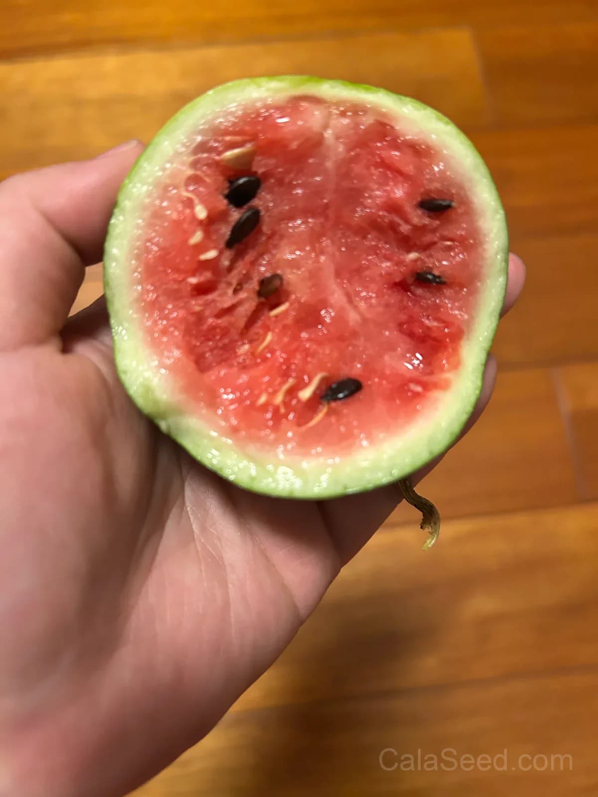Mini Red-Fleshed Watermelon Seeds - View 2