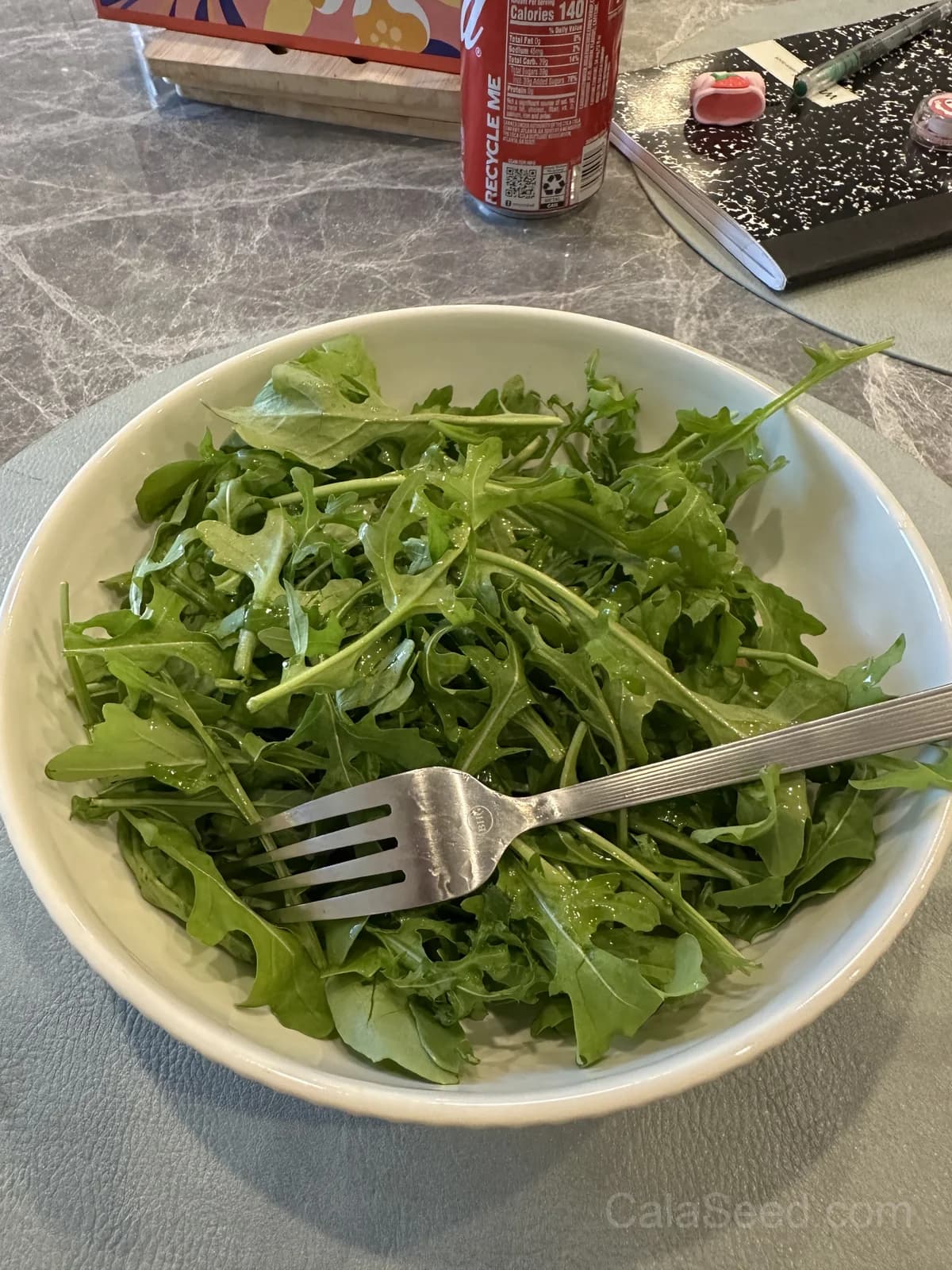 Rocket 'Roquette' Arugula Seeds — Peppery Salad Green - View 2