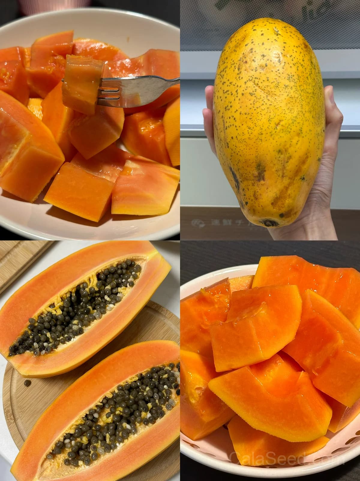Carica Papaya Seeds — Tropical Fruit Tree - Main