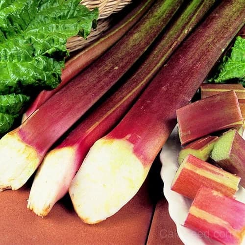Victoria Rhubarb 'Victoria' Seeds — Classic Heirloom Pie Ingredient - Main