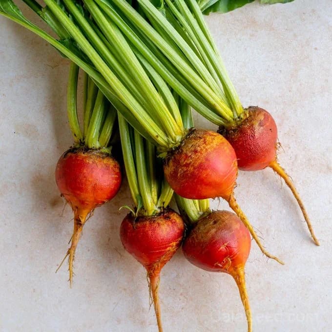 Golden Beet Seeds — Sweet Heirloom Root Vegetable - View 3