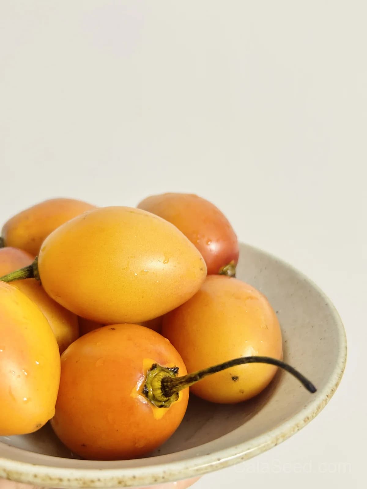 Tamarillo 'Red' Seeds — Tangy Tree Tomato Fruit - Main
