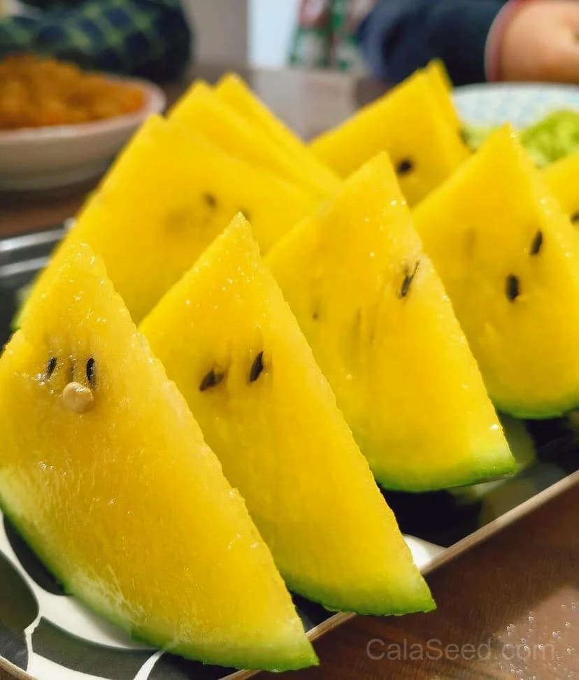 Yellow Crimson Watermelon Seeds — Sweet Yellow-Fleshed Fruit - View 2