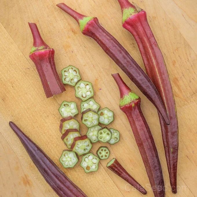 Burgundy Okra Seeds — Deep Red Heirloom Pods - View 4