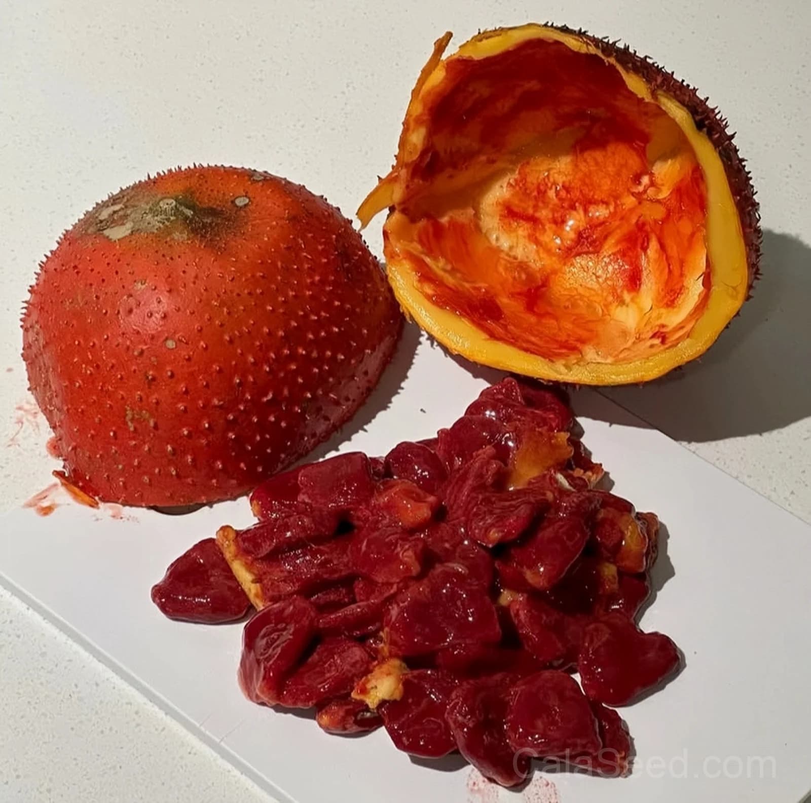 Gac Melon 'Momordica Cochinchinensis' Seeds — Nutrient-Rich Superfruit Vine - View 7