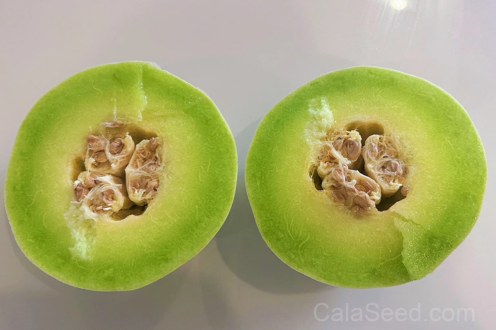Honeydew 'Green Flesh' Melon Seeds — Sweet Summer Fruit - Main