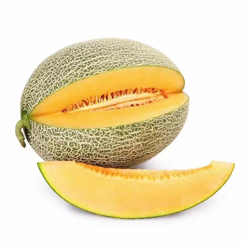 Sugar Cube Cantaloupe Seeds — Sweet Mini Melon - View 5