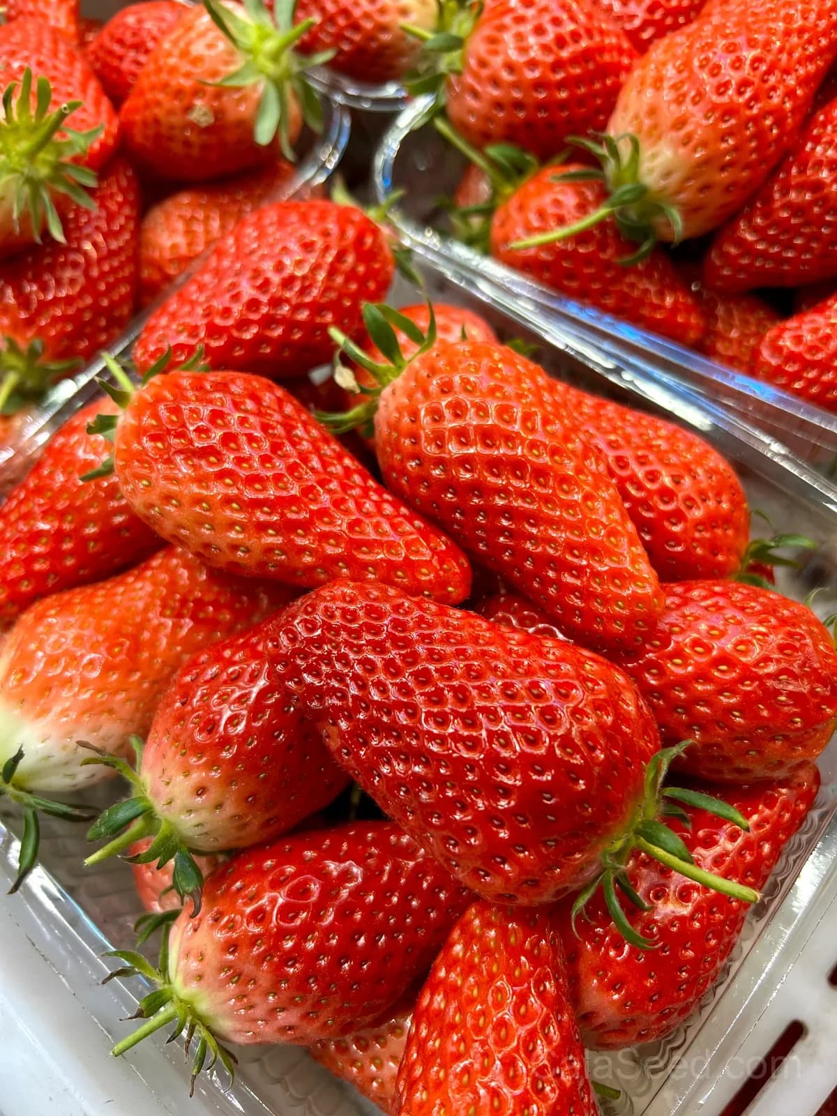 Sweet Strawberry Seeds – Juicy, High Germination & Easy to Grow - View 2