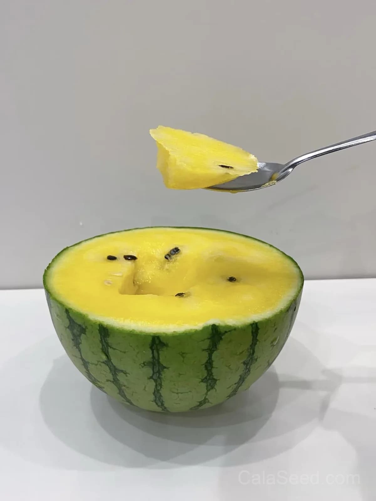 Green Rind Yellow Flesh Watermelon Seeds – Sweet, Juicy, High Germination & Easy to Grow - View 6