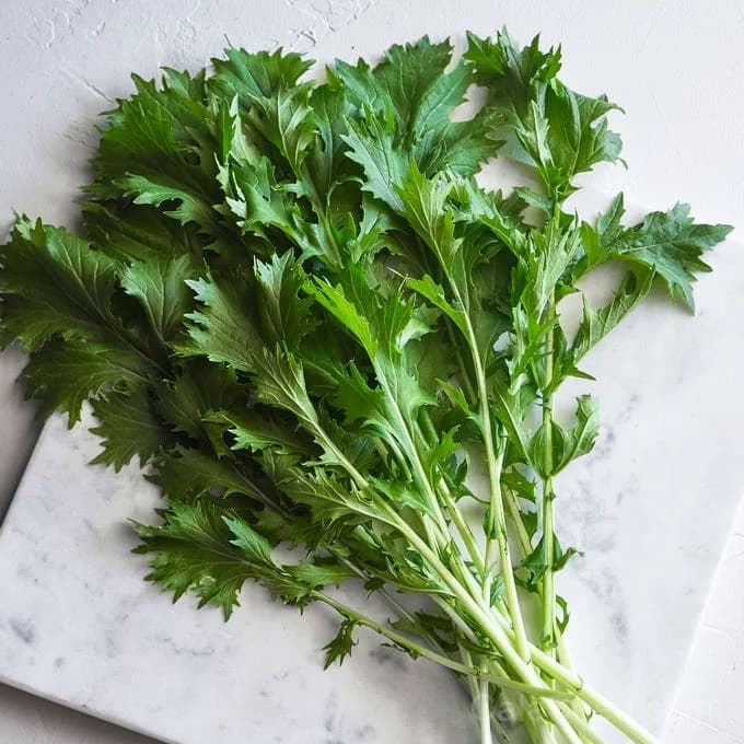 Mizuna Mustard Seeds — Mild Peppery Salad Greens - View 2