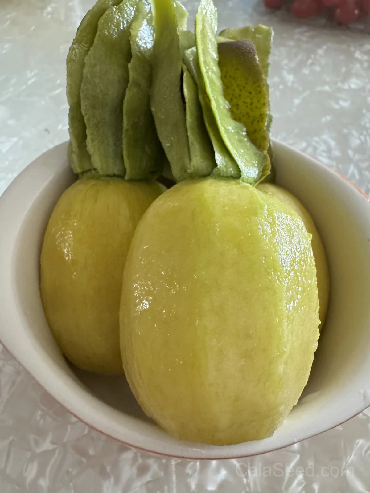 Arctic Beauty Kiwi 'Kolomikta' Seeds — Variegated Edible Vine - View 4