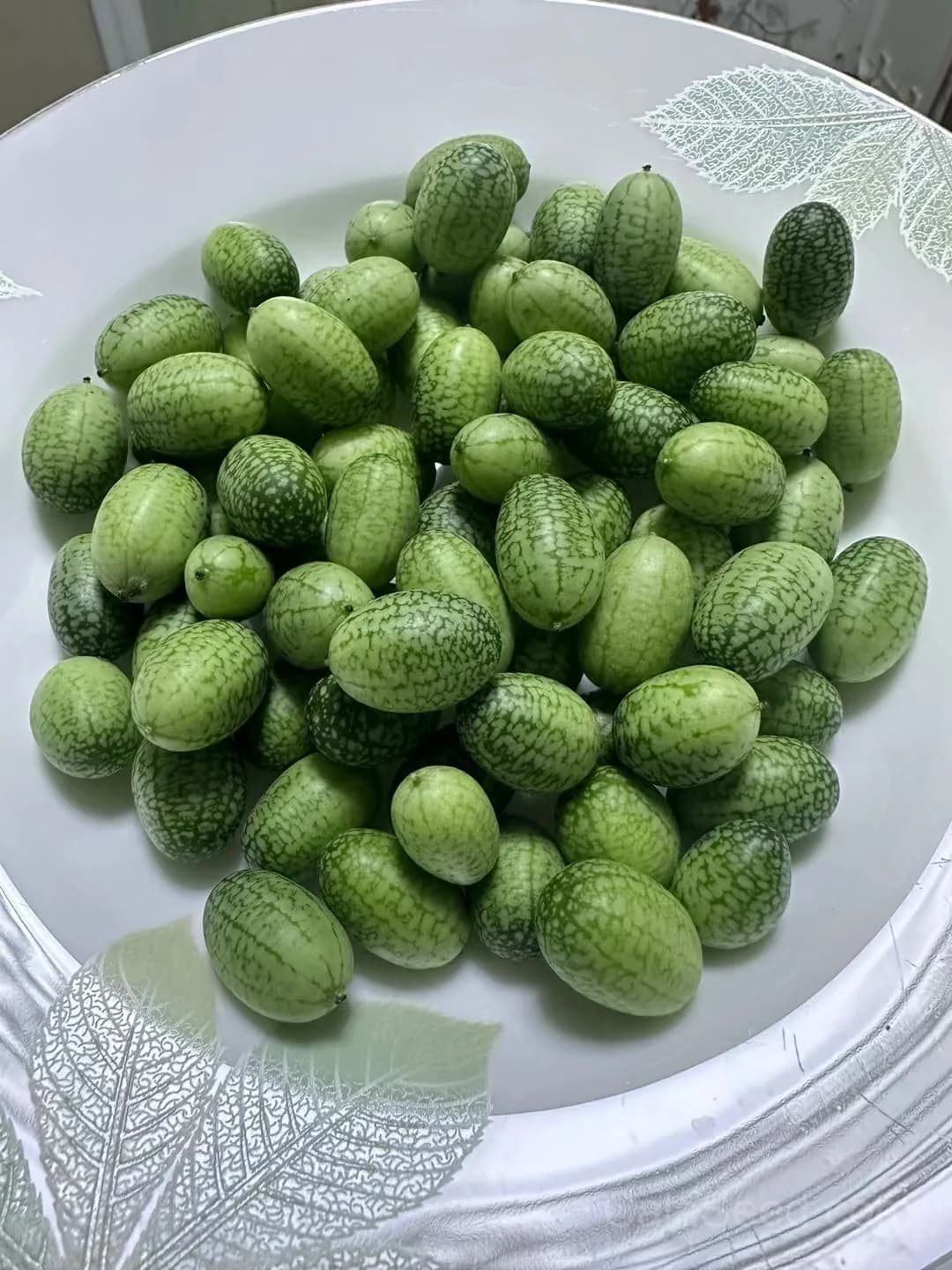 Cucamelon 'Melothria Scabra' Seeds — Mini Mexican Gherkin Vine - Main
