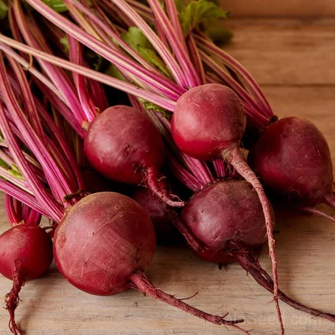 Detroit Dark Red Beet Seeds — Sweet Medium Top Roots - Main