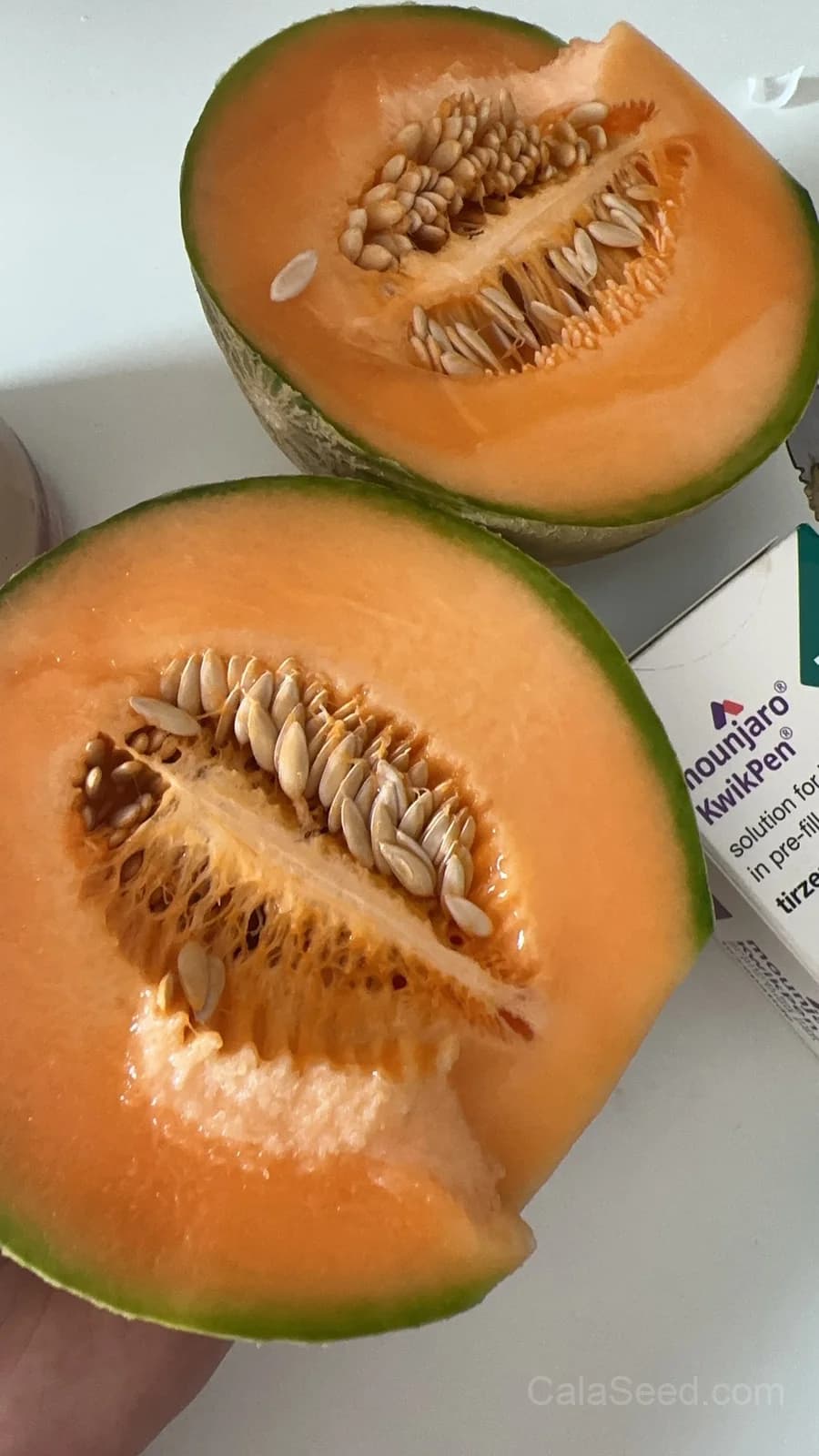 Melon 'Malaga F1' Seeds — Sweet Early Harvest - View 2