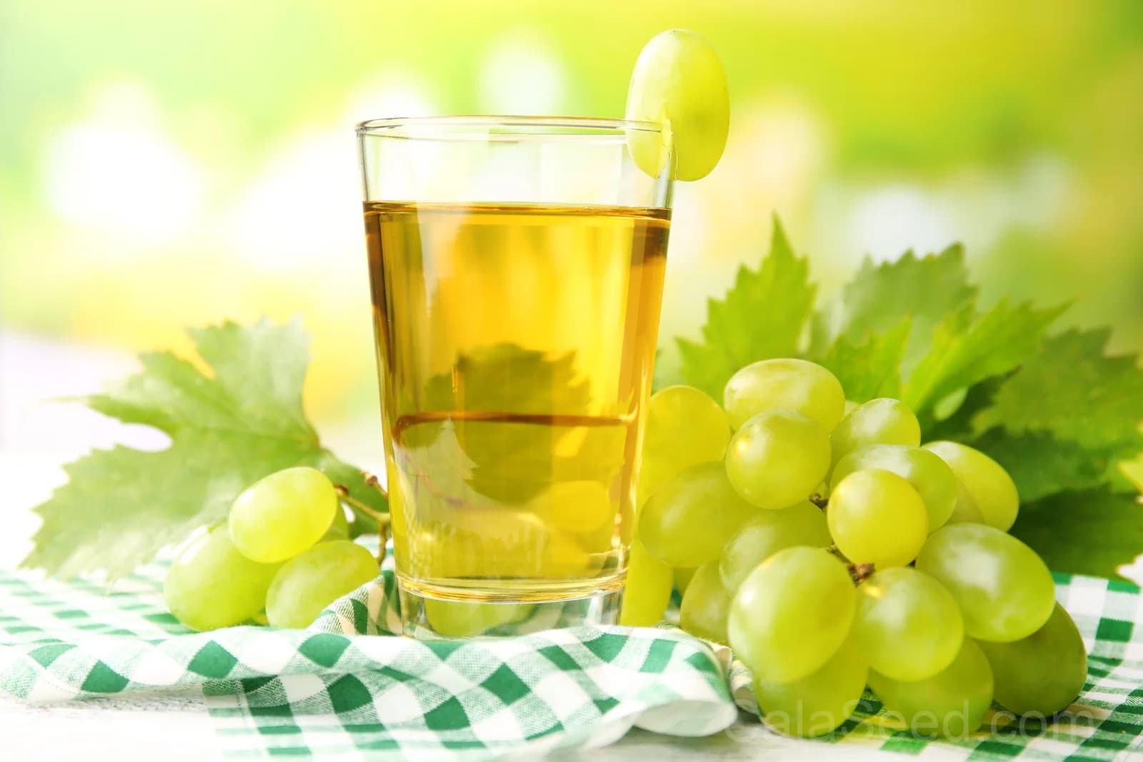 Green Dessert Grape 'Vitis Vinifera' Seeds — Sweet Table Fruit Vine - View 8