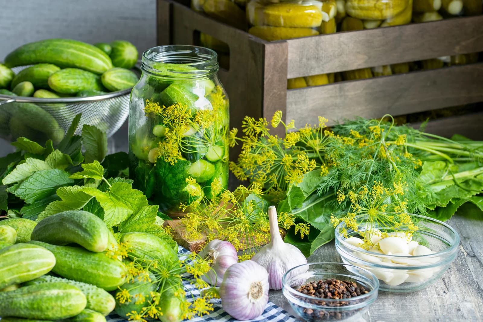 Boston Pickling Cucumber Seeds — Heirloom Gherkin Vegetable - View 7