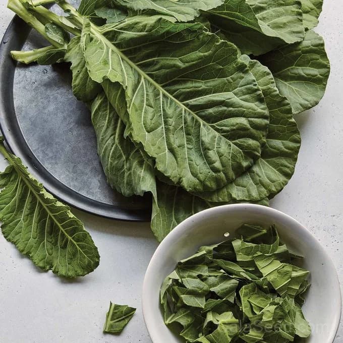 Top Chop Collard Greens Seeds — Heat-Tolerant Southern Staple - Alt