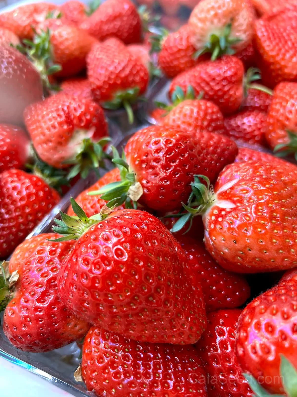 Kaorino Strawberry Seeds – Sweet, Fragrant, High Germination & Easy to Grow - View 3