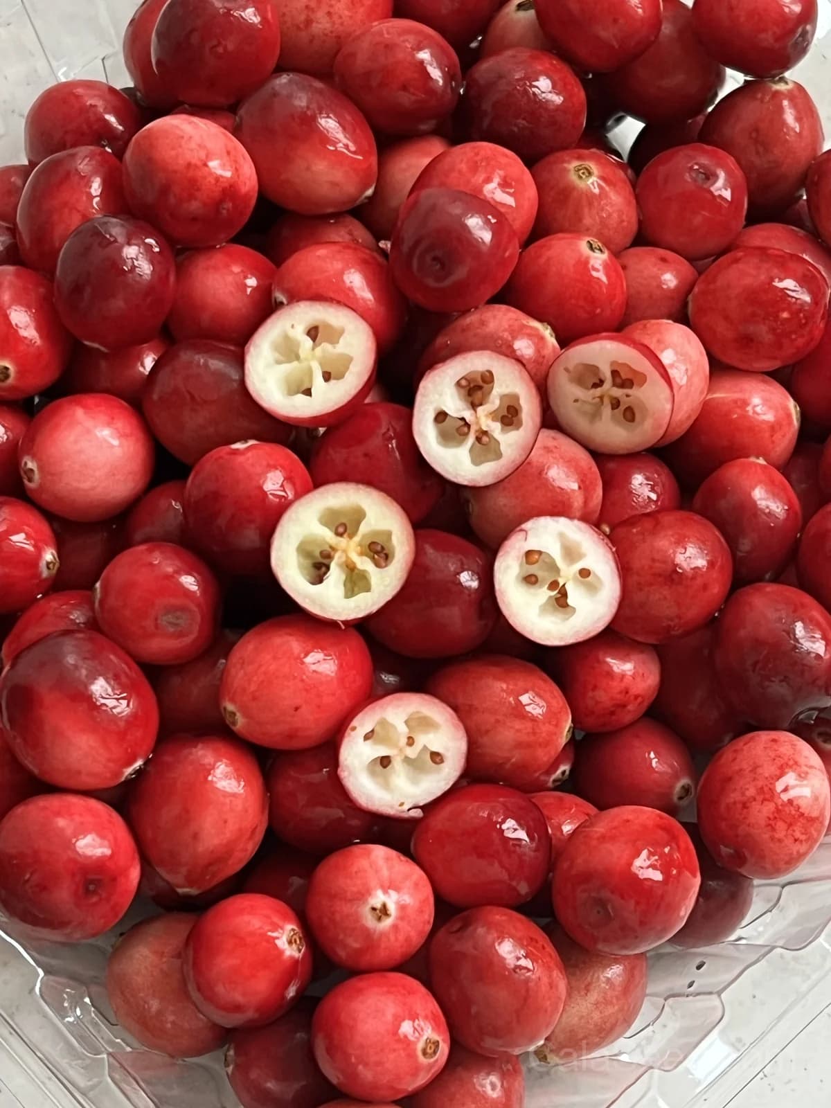 Cranberry 'Pilgrim' Seeds — Tart Red Superfruit - View 2