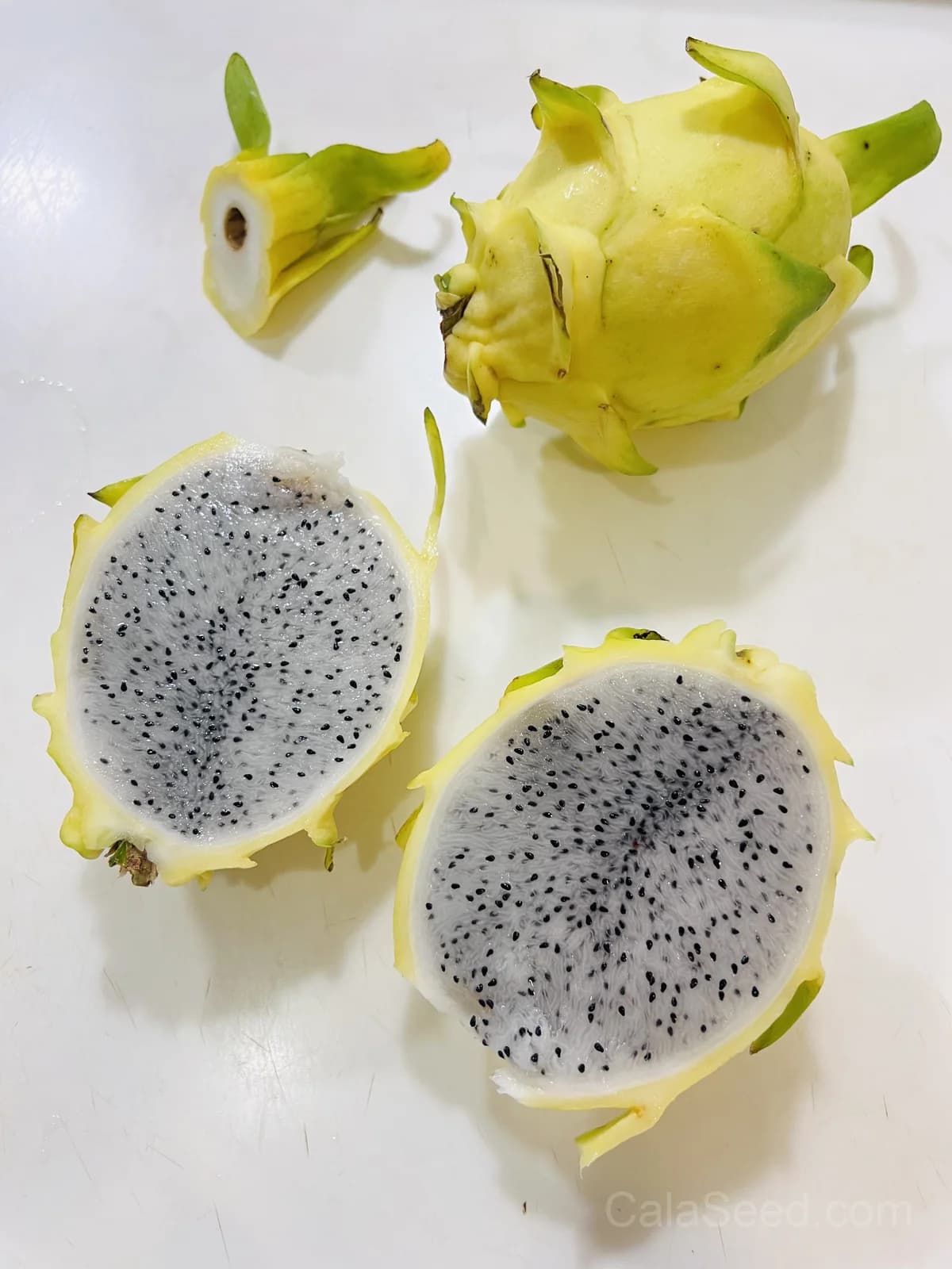 Yellow Dragon Fruit Seeds — Sweet Tropical Vine - View 4
