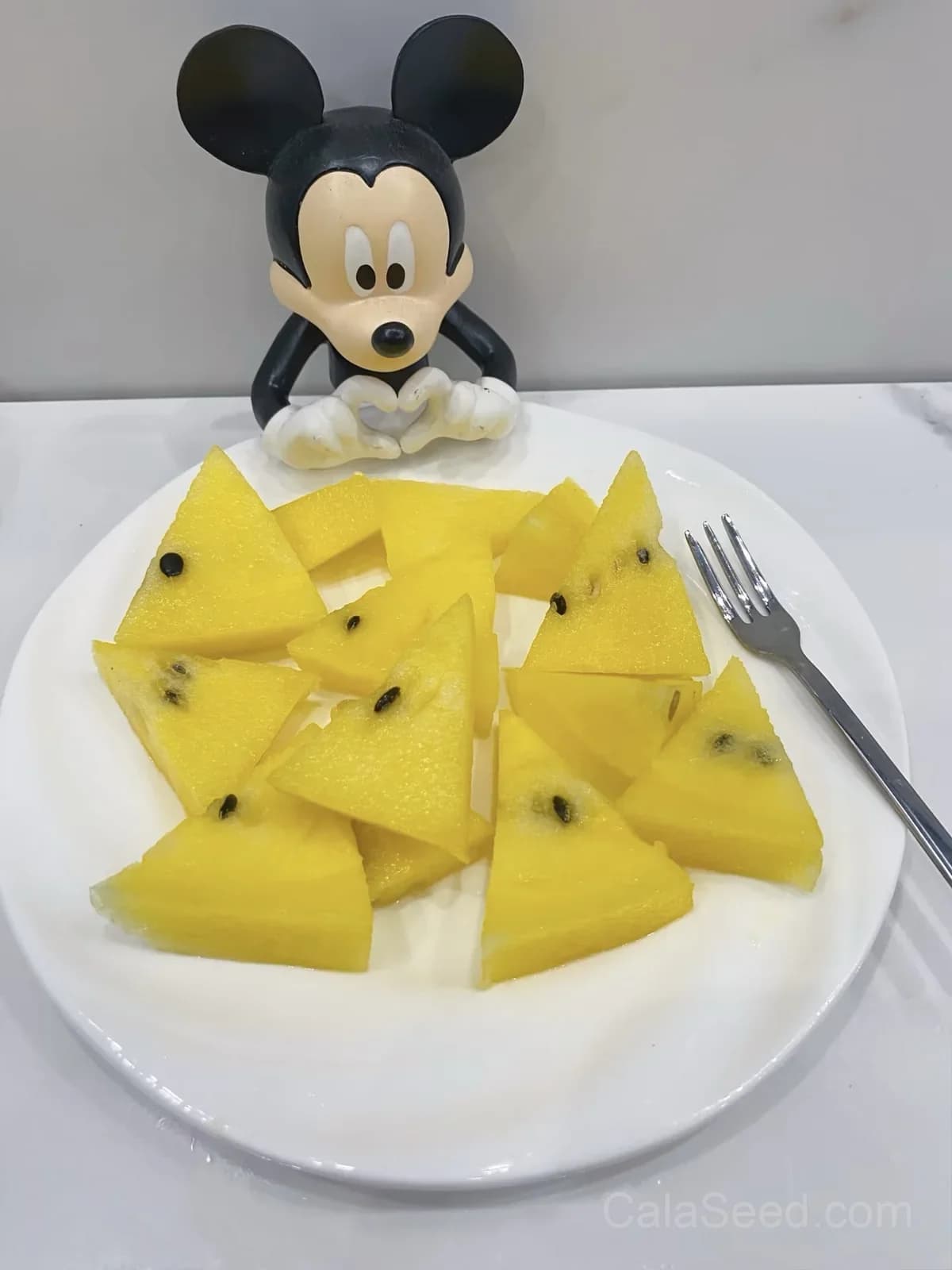 Yellow Crimson Watermelon Seeds — Sweet Yellow-Fleshed Fruit - View 6
