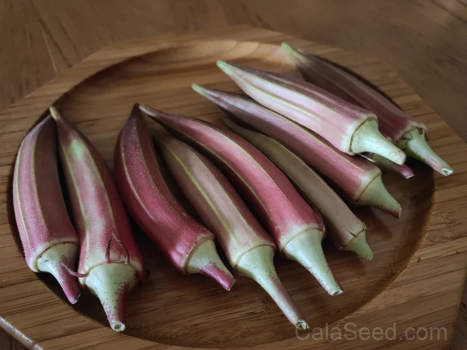 Burgundy Okra Seeds — Deep Red Heirloom Pods - View 2