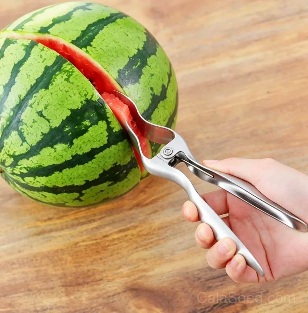 Watermelon Opener Tool – Stainless Steel Fruit Cutter for Easy Watermelon Slicing - Main