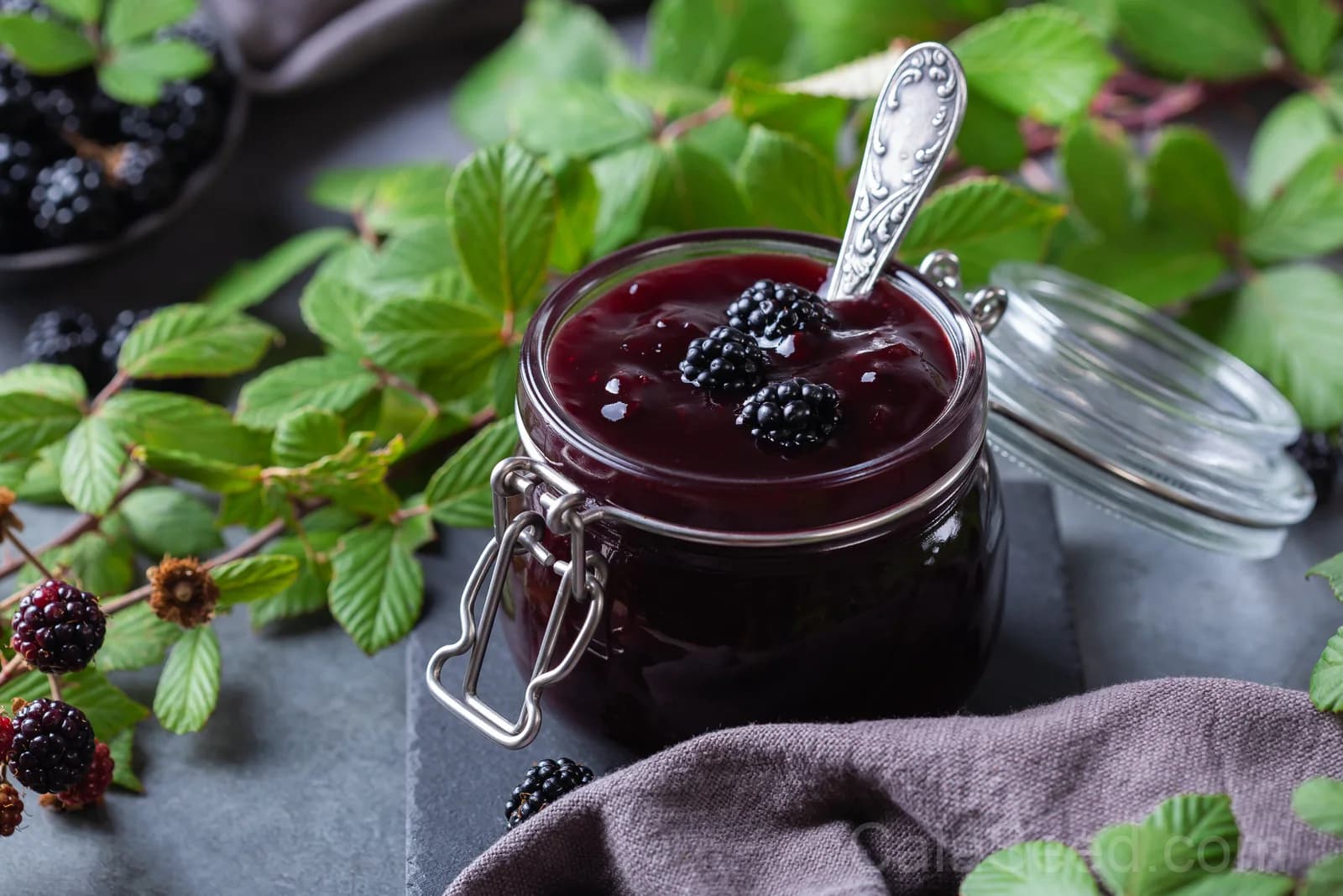 Pacific Blackberry 'Trailing' Seeds — Native Vining Fruit Berry - View 7
