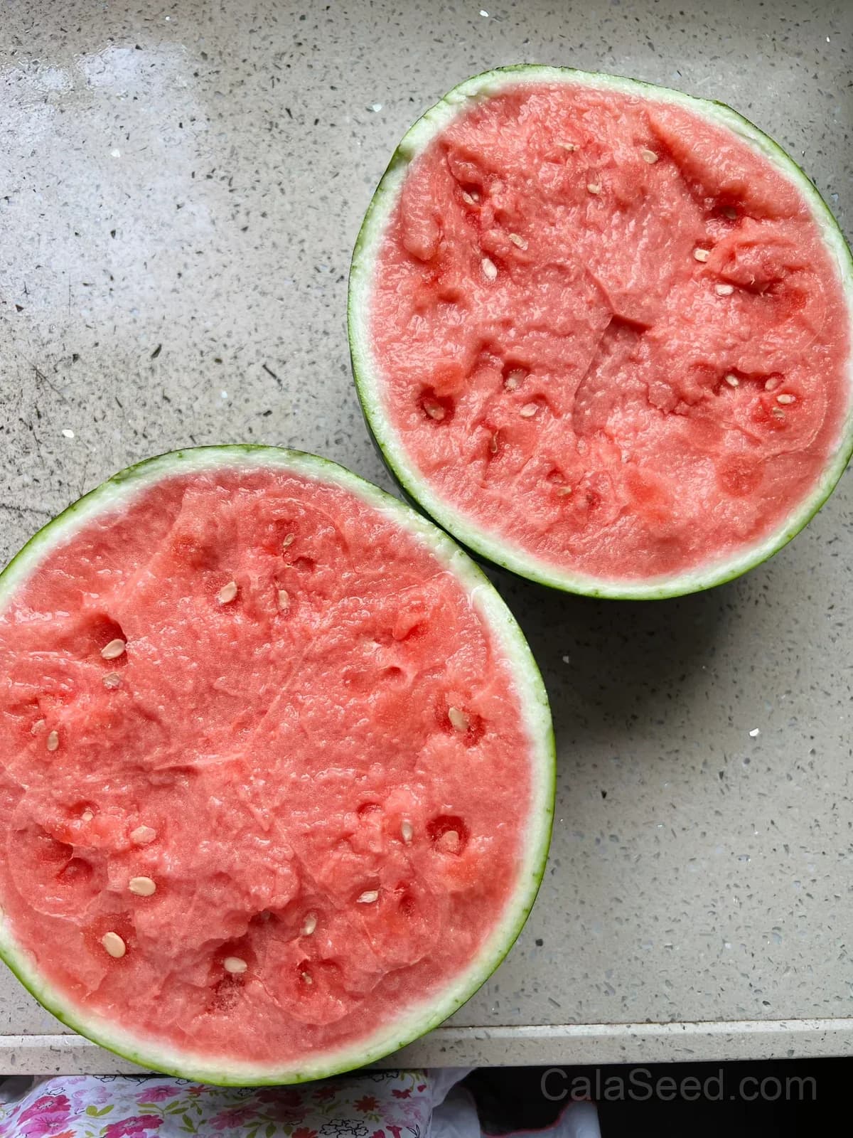 Seedless Watermelon Seeds — Sweet Seedless Summer Fruit - View 3
