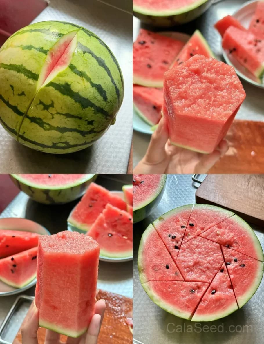 Crimson Sweet Watermelon Seeds — Classic Sweet Red Fruit - Main