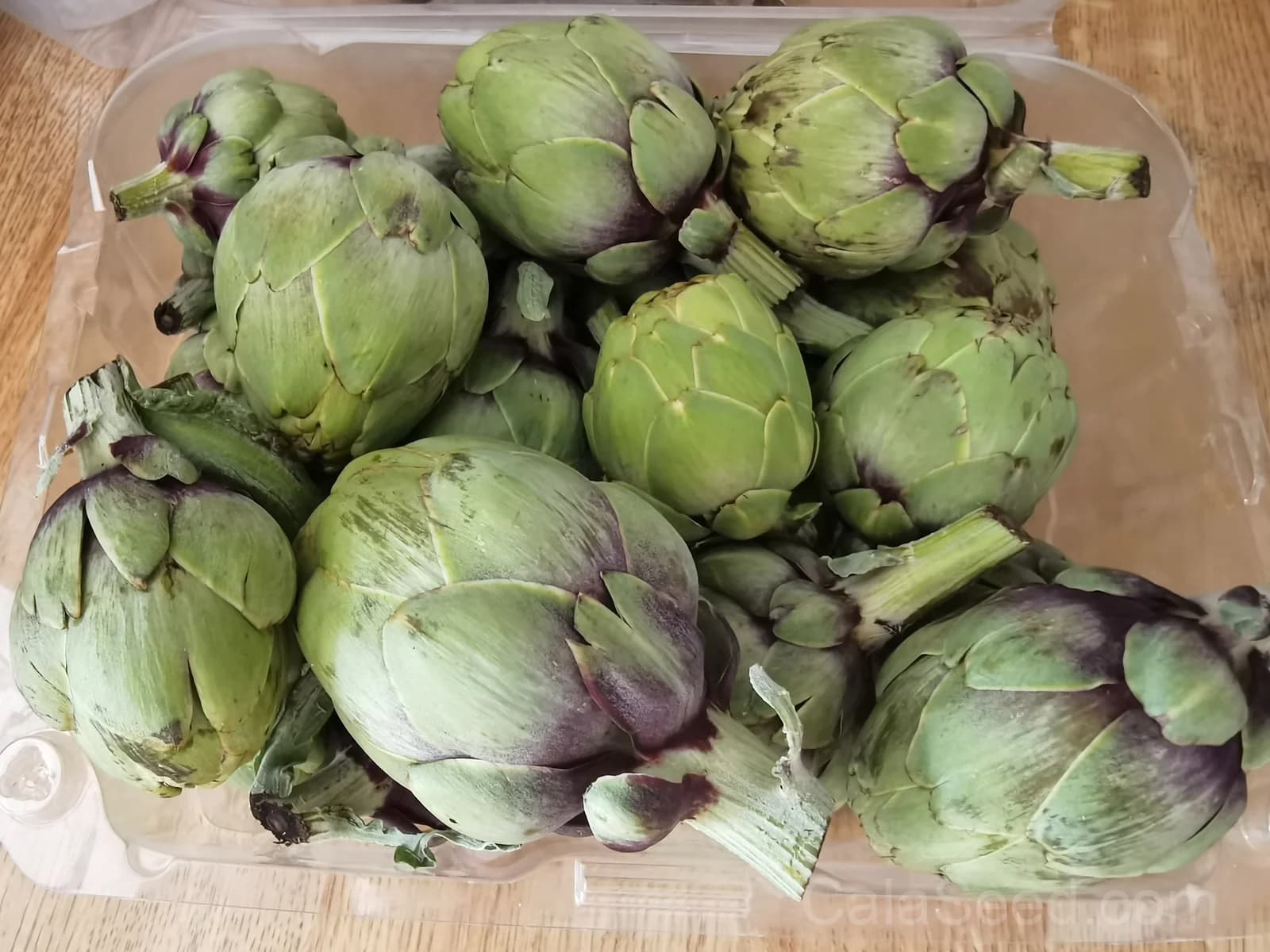 Wonder Artichoke Seeds — Perennial Gourmet Vegetable - View 4