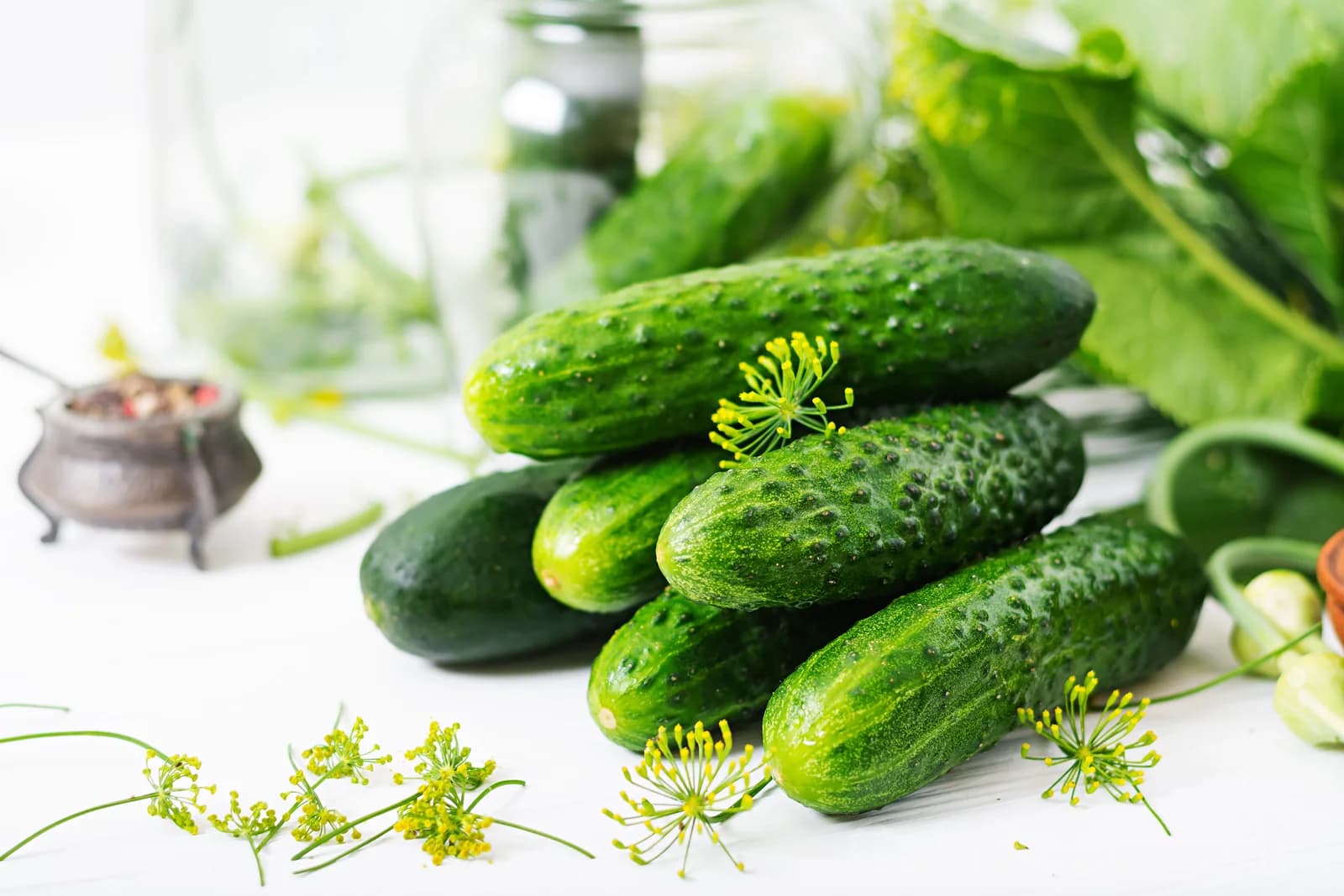 Boston Pickling Cucumber Seeds — Heirloom Gherkin Vegetable - View 6
