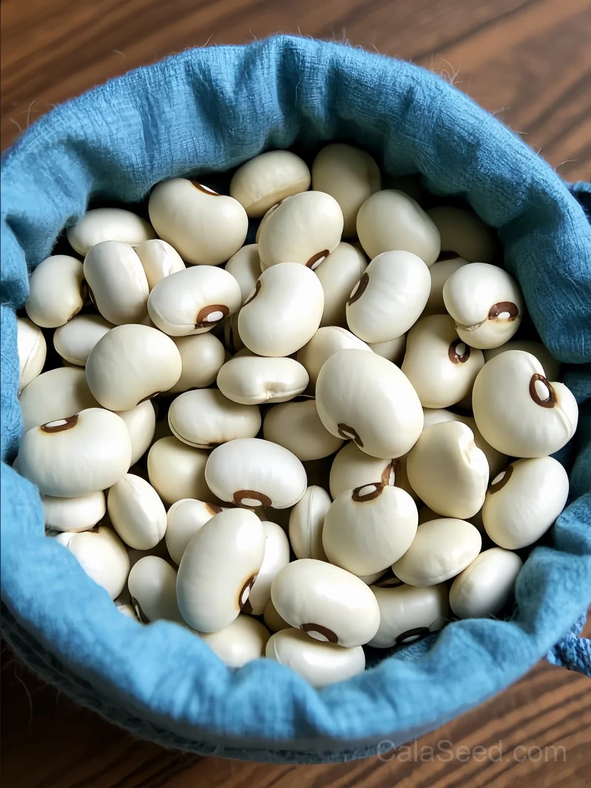 California Blackeye No.5 Cowpea Seeds — Southern Classic Heat-Tolerant Legume - View 7