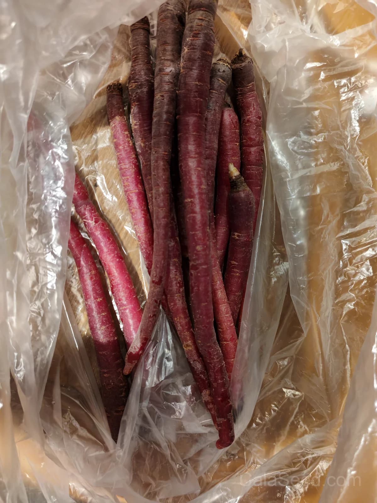 Salad Rose Radish Seeds — Crunchy Heirloom Root Vegetable - View 4