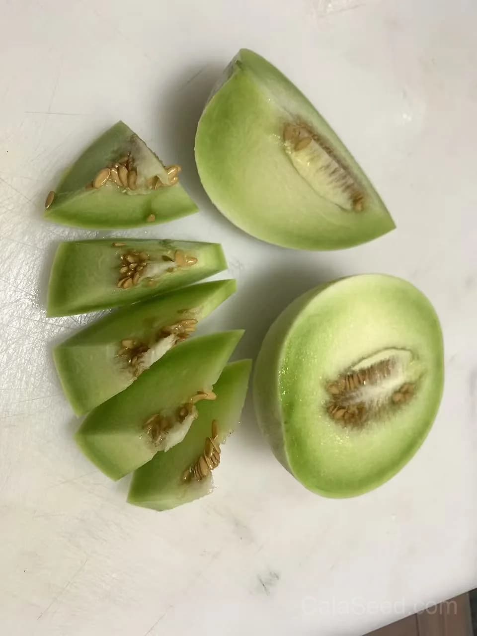 Honeydew 'Green Flesh' Melon Seeds — Sweet Summer Fruit - View 5