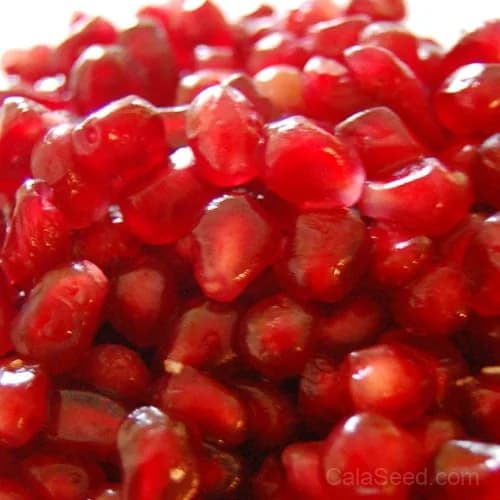 Pomegranate Seeds — Antioxidant-Rich Superfruit - View 2