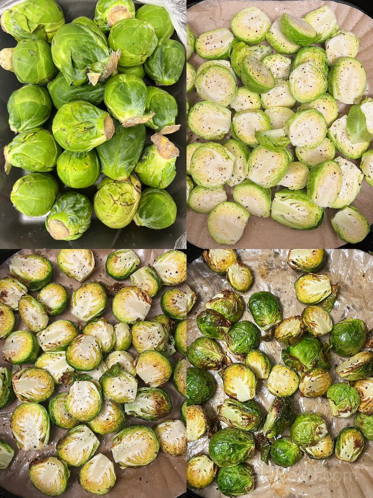 Catskill Brussels Sprouts Seeds — Cold-Hardy Heirloom Vegetable - View 4