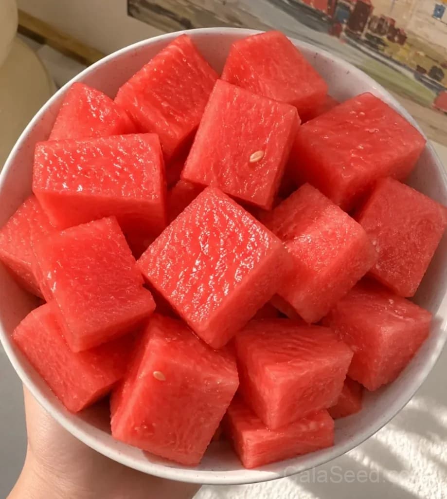 Seedless Watermelon Seeds — Sweet Seedless Summer Fruit - View 8