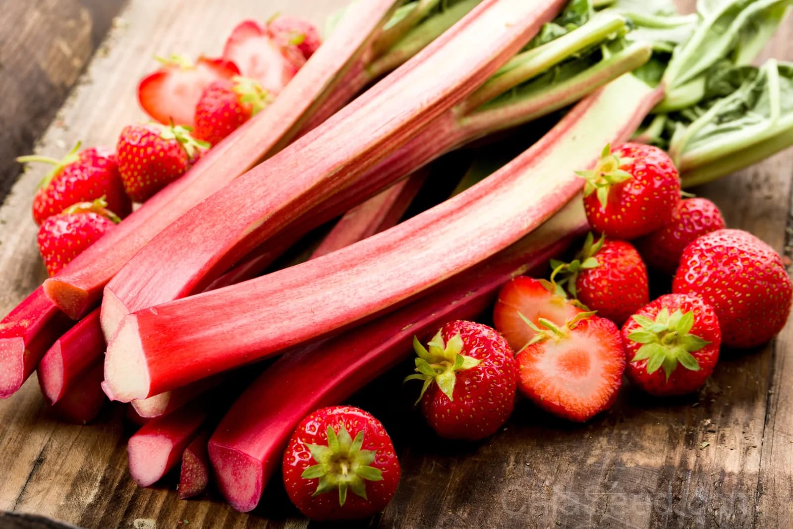 Victoria Rhubarb Seeds — Classic Pieplant Perennial - Alt