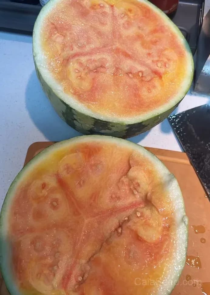Rainbow Ice Cream Watermelon Seeds - View 3