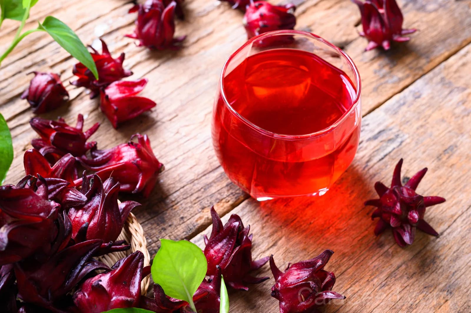 Roselle Hibiscus 'Sabdariffa' Seeds — Edible Red Calyces - View 7