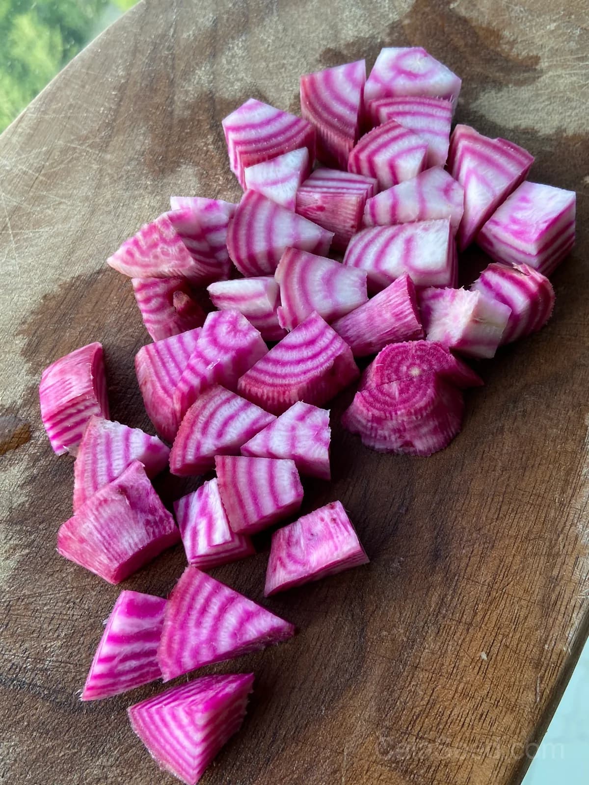 Chioggia Beet Seeds — Candy-Striped Heirloom Root - View 5