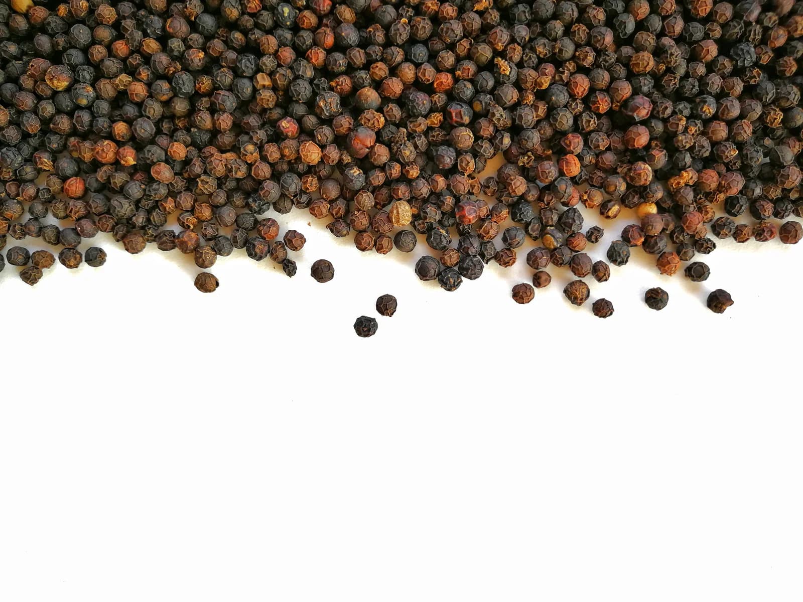 Black Peppercorn 'Piper Nigrum' Seeds — Spice Vine for Cooking - View 12
