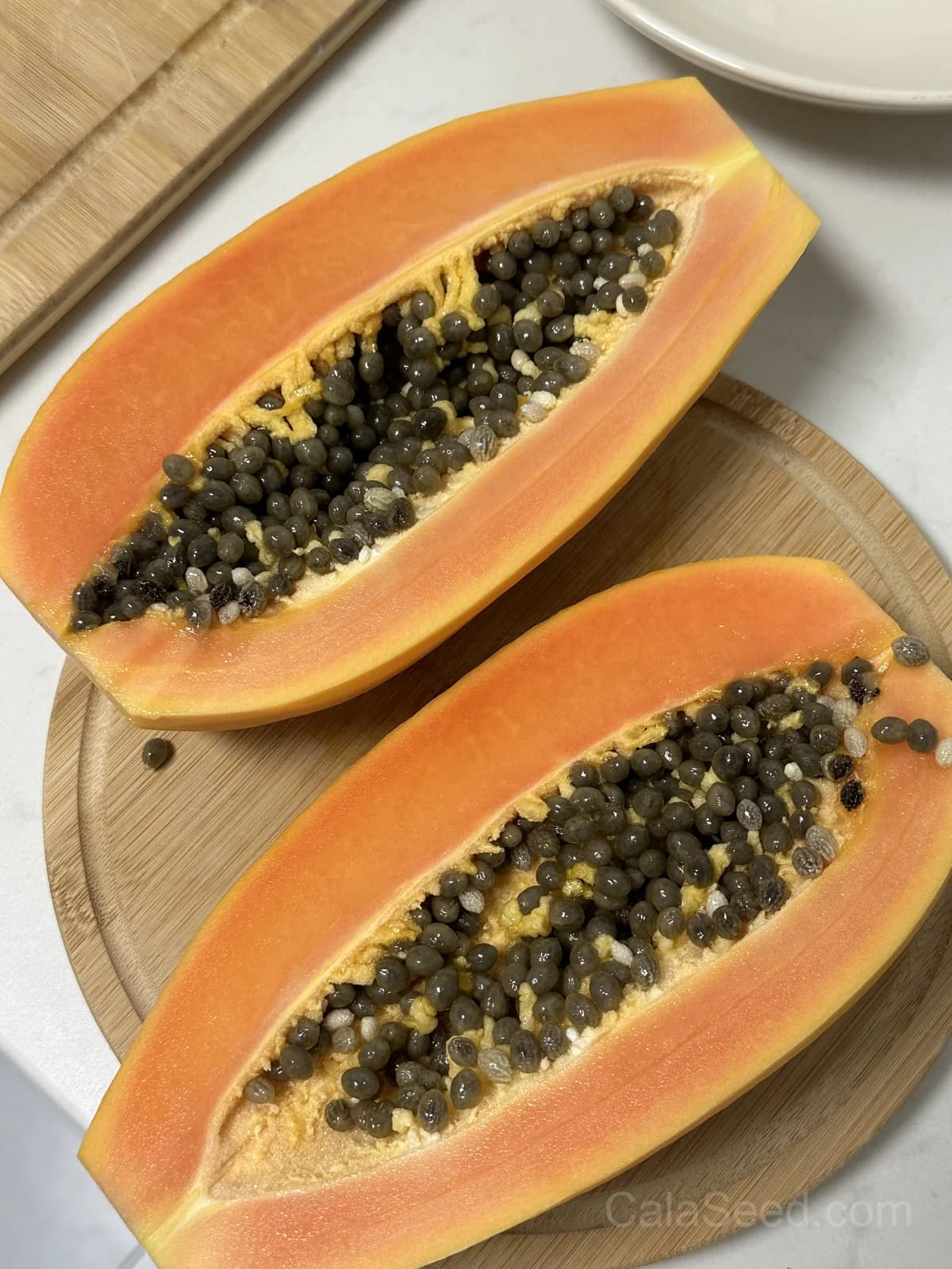 Carica Papaya Seeds — Tropical Fruit Tree - View 5