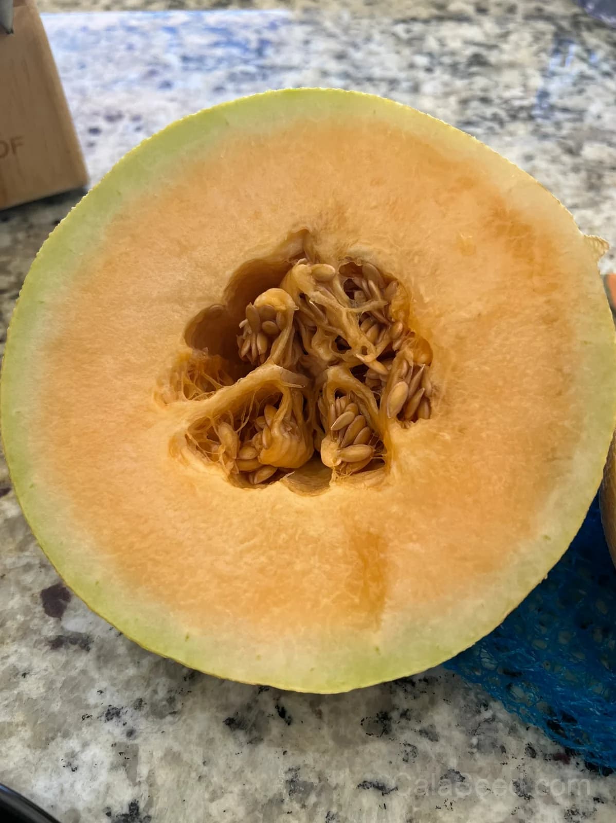 Cantaloupe 'Hearts of Gold' Seeds β Sweet Aromatic Melon - View 5