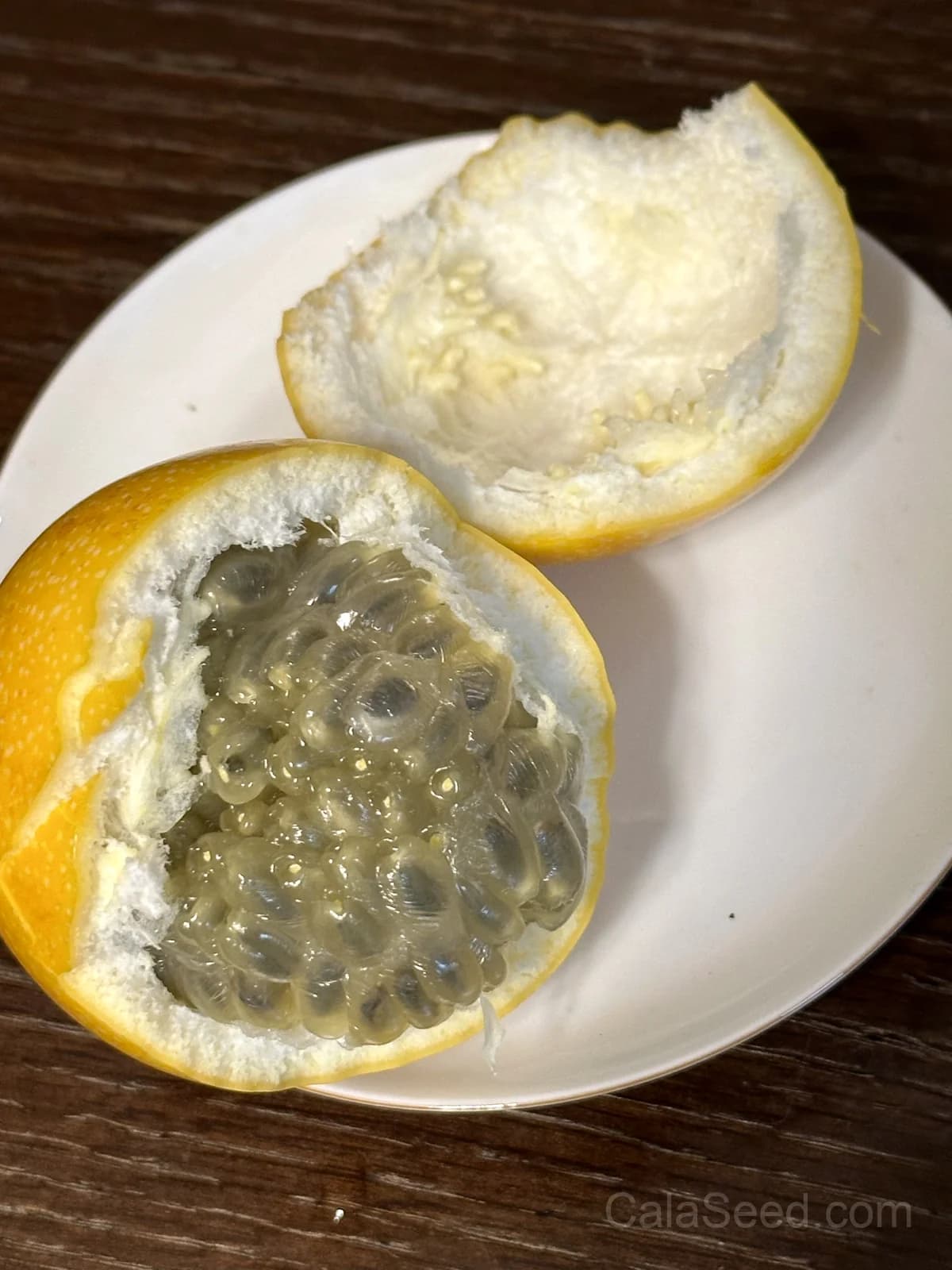 Blue Crown Passion Flower Seeds — Orange Fruit Vine - View 5