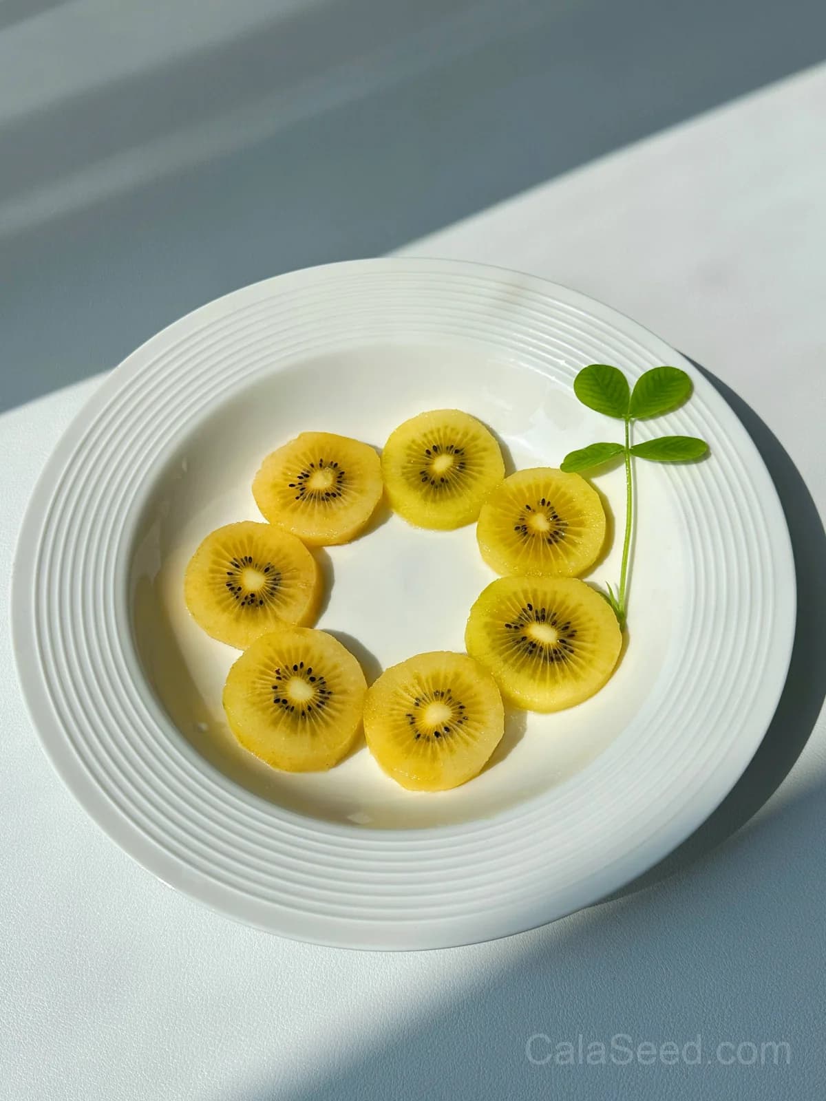Golden Kiwi 'Actinidia Chinensis' Seeds — Sweet Yellow Fruit Vine - View 2