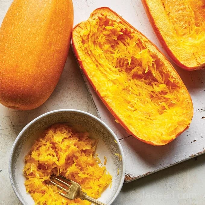 Hasta La Pasta Winter Squash Seeds — High-Yield Italian Heirloom - View 5